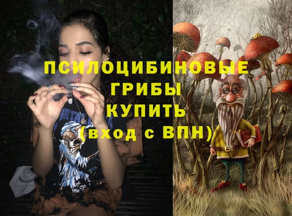 ГАЛЛЮЦИНОГЕННЫЕ ГРИБЫ Армянск