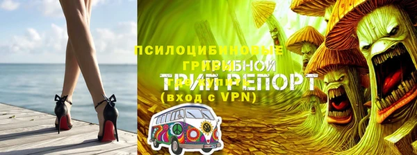прущие крисы Аркадак