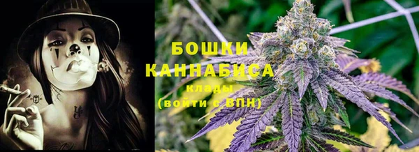 соль ск Алексеевка