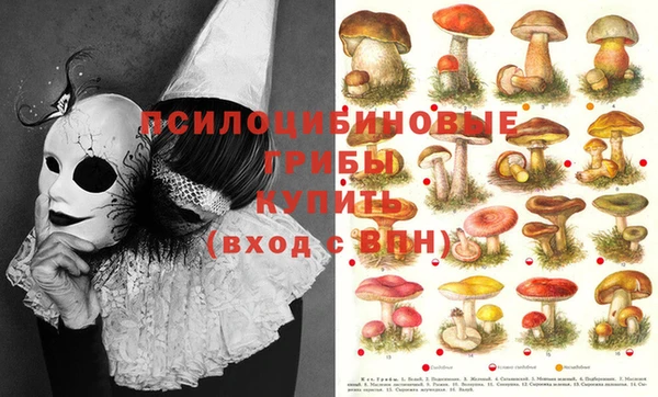 прущие крисы Аркадак