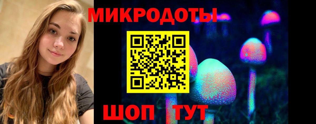 Галлюциногенные грибы Cubensis Кирово-Чепецк